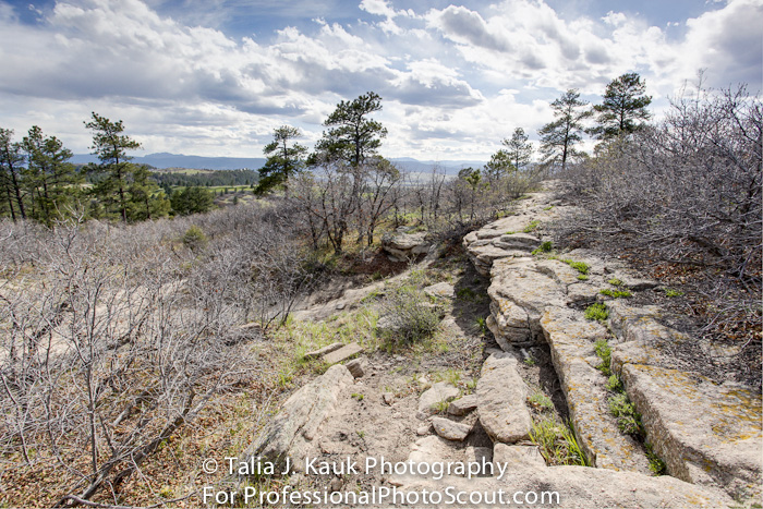 Daniels_Park_Sedalia_CO_May_2014_13