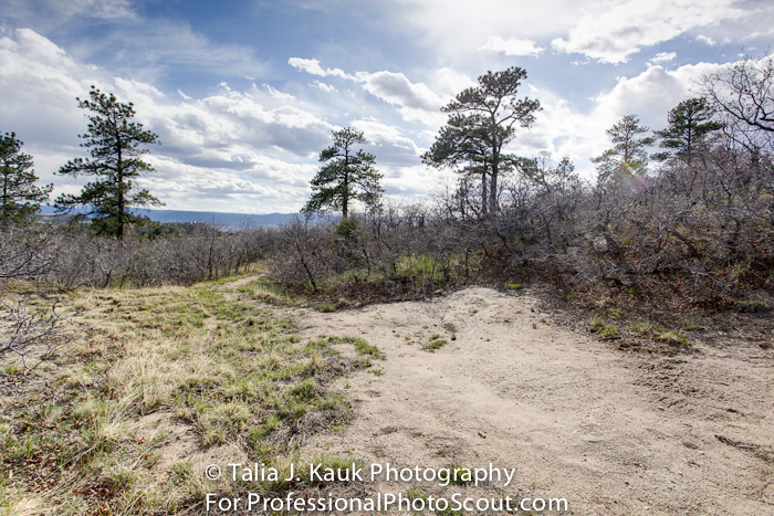 Daniels_Park_Sedalia_CO_May_2014_14