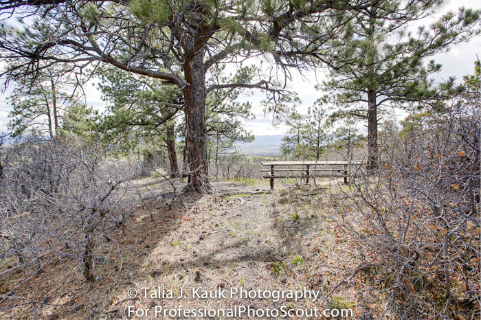 Daniels_Park_Sedalia_CO_May_2014_15