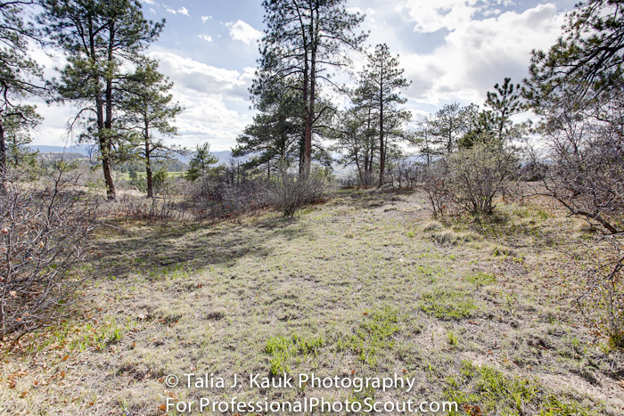 Daniels_Park_Sedalia_CO_May_2014_18