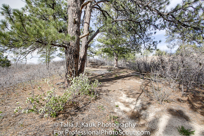 Daniels_Park_Sedalia_CO_May_2014_19