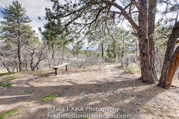 Daniels_Park_Sedalia_CO_May_2014_21