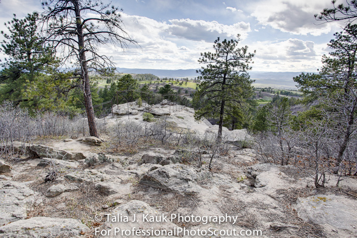 Daniels_Park_Sedalia_CO_May_2014_22