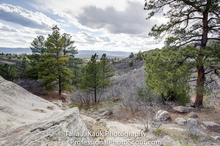 Daniels_Park_Sedalia_CO_May_2014_25