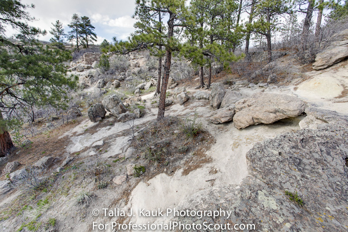 Daniels_Park_Sedalia_CO_May_2014_26