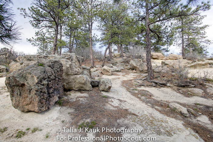 Daniels_Park_Sedalia_CO_May_2014_28