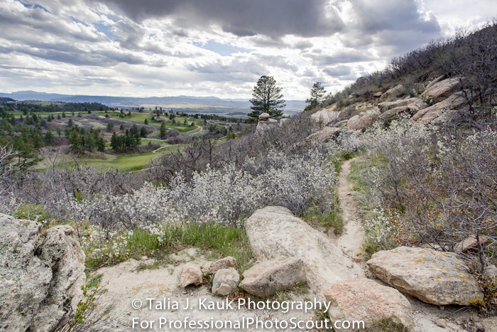 Daniels_Park_Sedalia_CO_May_2014_34