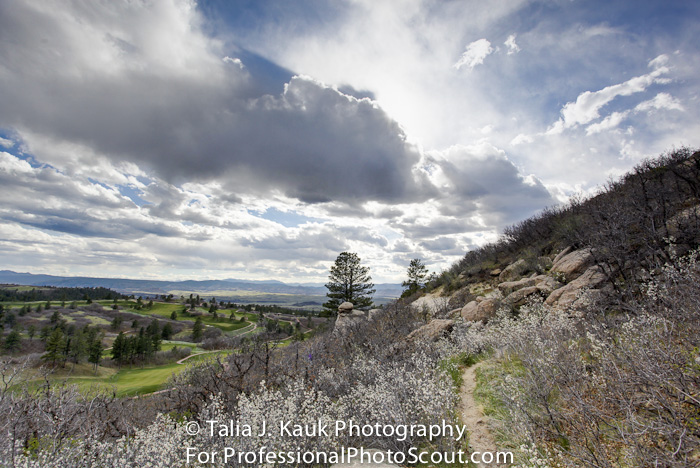 Daniels_Park_Sedalia_CO_May_2014_35