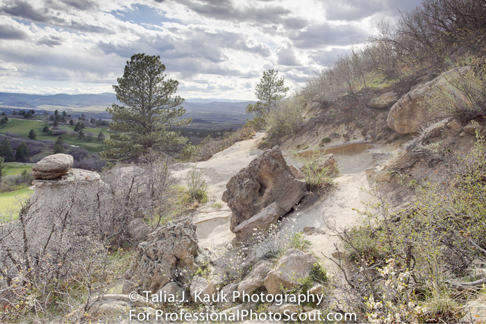 Daniels_Park_Sedalia_CO_May_2014_37