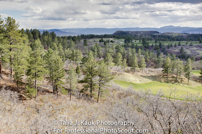 Daniels_Park_Sedalia_CO_May_2014_38