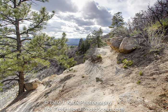 Daniels_Park_Sedalia_CO_May_2014_39