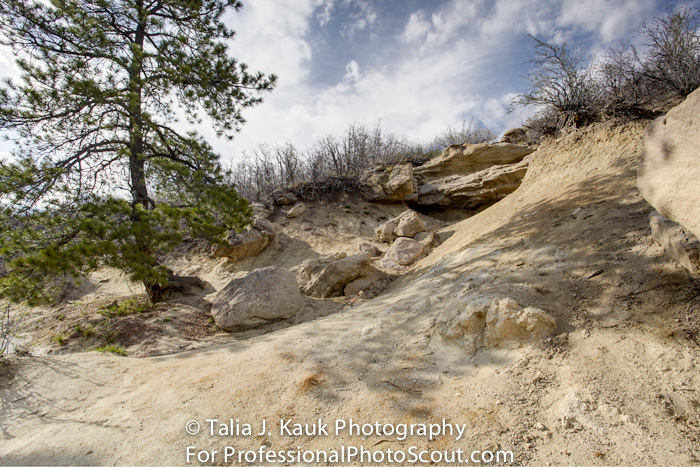 Daniels_Park_Sedalia_CO_May_2014_41