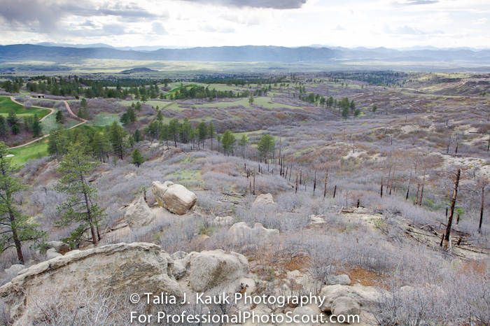 Daniels_Park_Sedalia_CO_May_2014_47