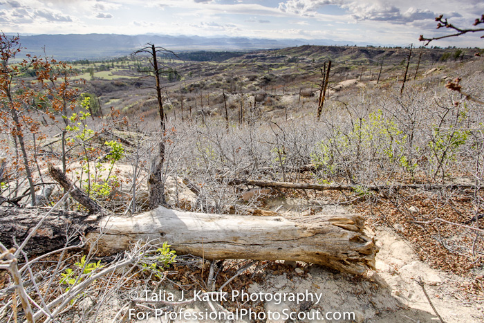 Daniels_Park_Sedalia_CO_May_2014_49