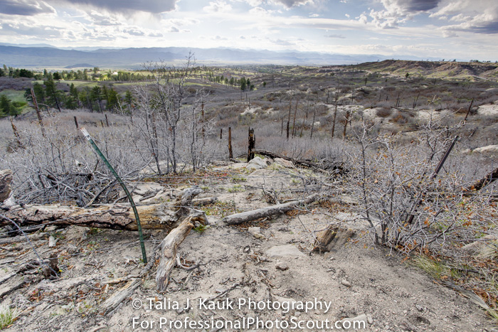 Daniels_Park_Sedalia_CO_May_2014_51