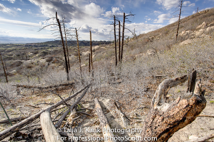 Daniels_Park_Sedalia_CO_May_2014_52