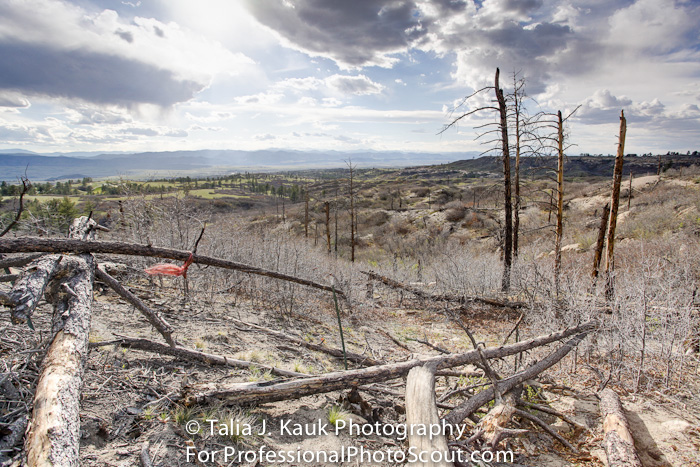 Daniels_Park_Sedalia_CO_May_2014_53