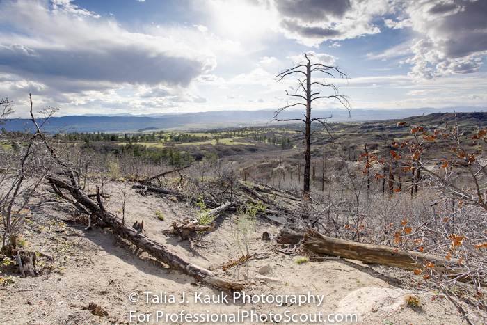 Daniels_Park_Sedalia_CO_May_2014_54