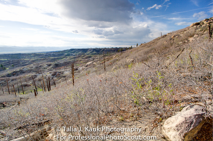 Daniels_Park_Sedalia_CO_May_2014_55