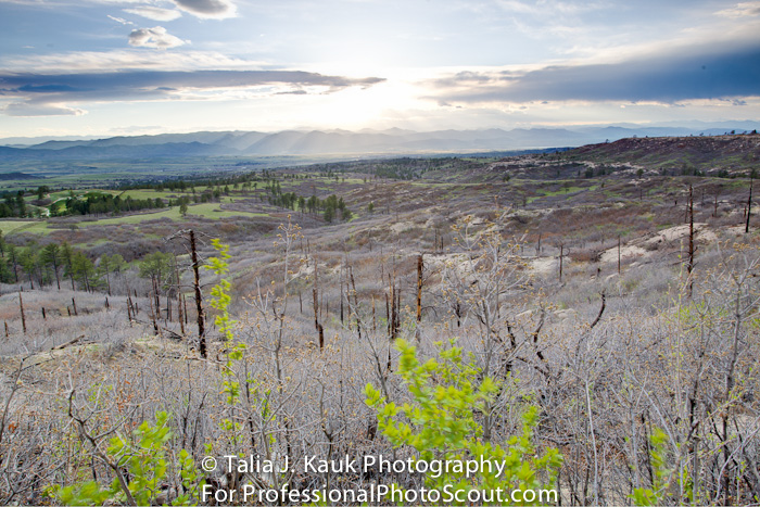 Daniels_Park_Sedalia_CO_May_2014_57