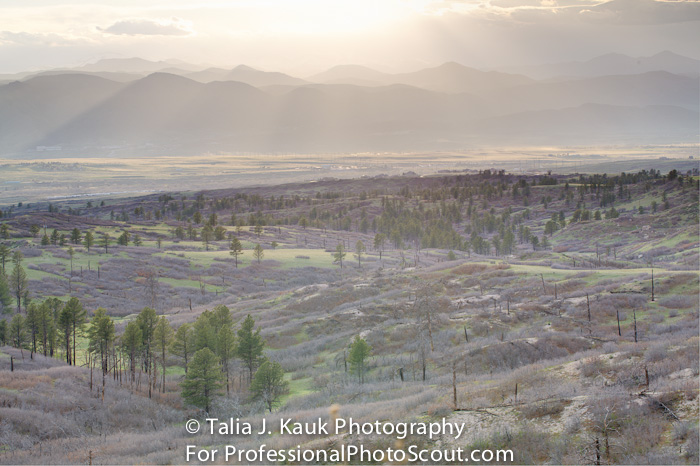 Daniels_Park_Sedalia_CO_May_2014_59