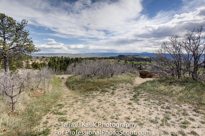 Daniels_Park_Sedalia_CO_May_2014_6