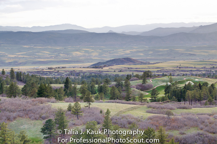 Daniels_Park_Sedalia_CO_May_2014_60