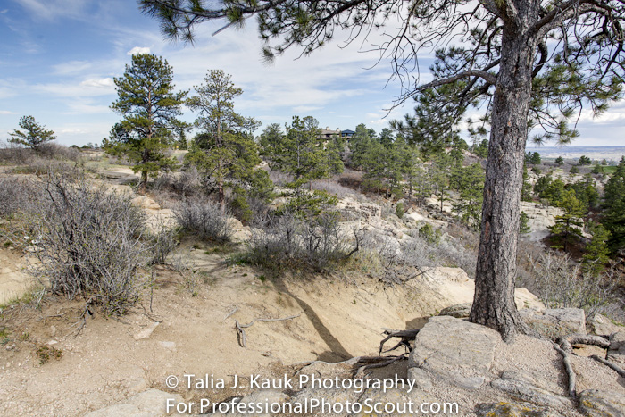 Daniels_Park_Sedalia_CO_May_2014_7