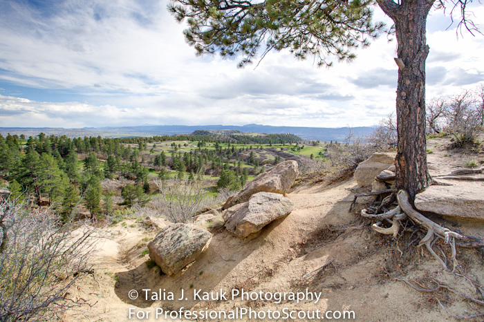 Daniels_Park_Sedalia_CO_May_2014_8