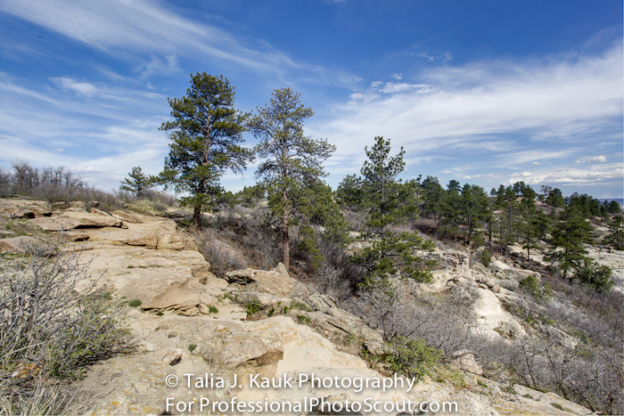 Daniels_Park_Sedalia_CO_May_2014_9