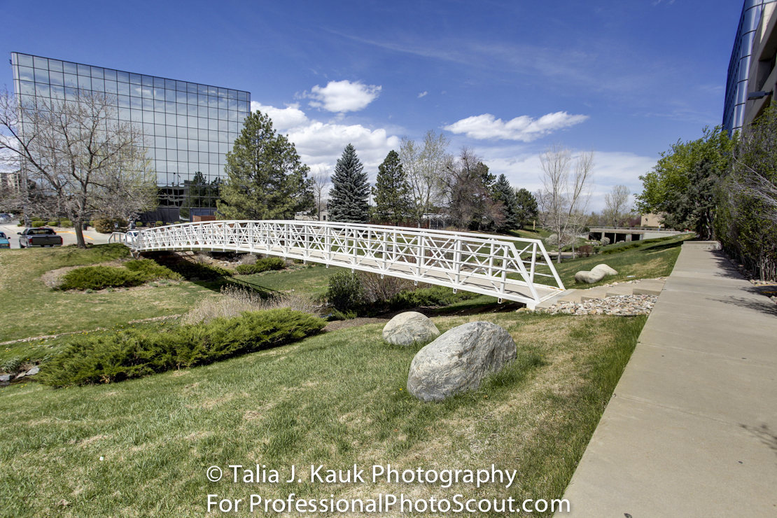 Goldsmith_Gulch_April_2014_10