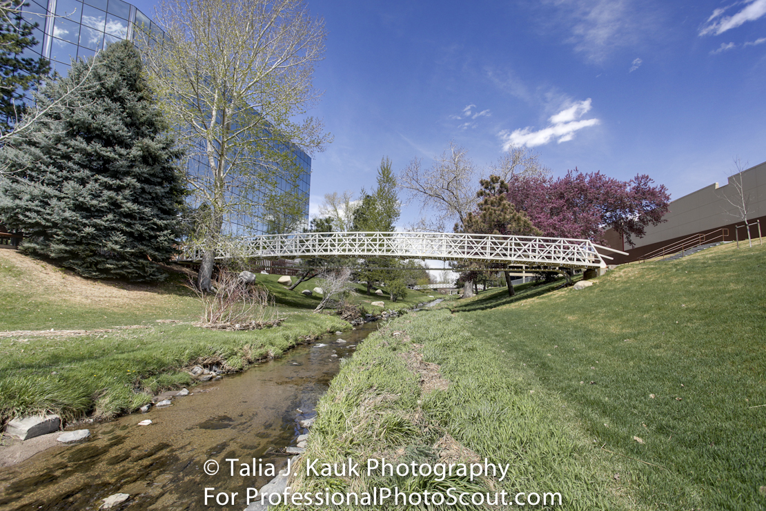 Goldsmith_Gulch_April_2014_14