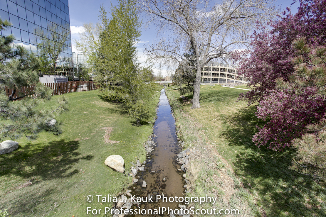 Goldsmith_Gulch_April_2014_15