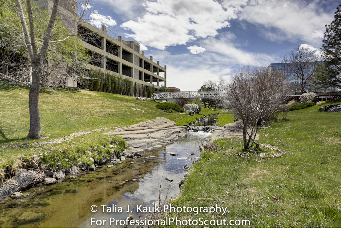 Goldsmith_Gulch_April_2014_24