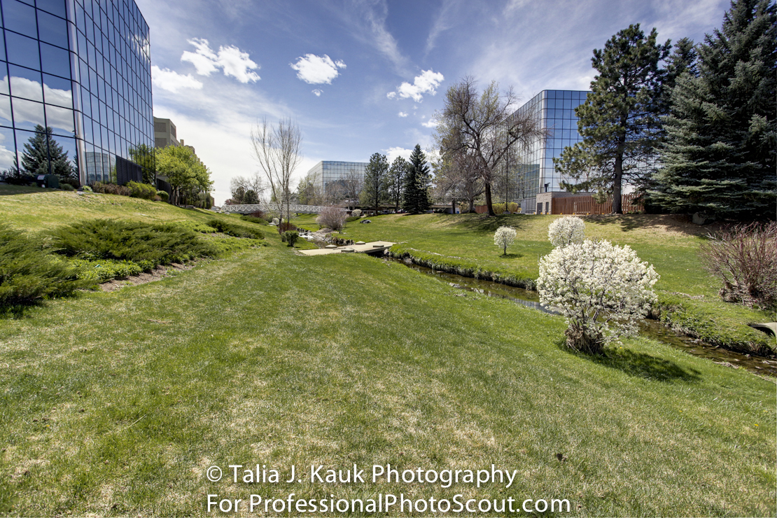 Goldsmith_Gulch_April_2014_5