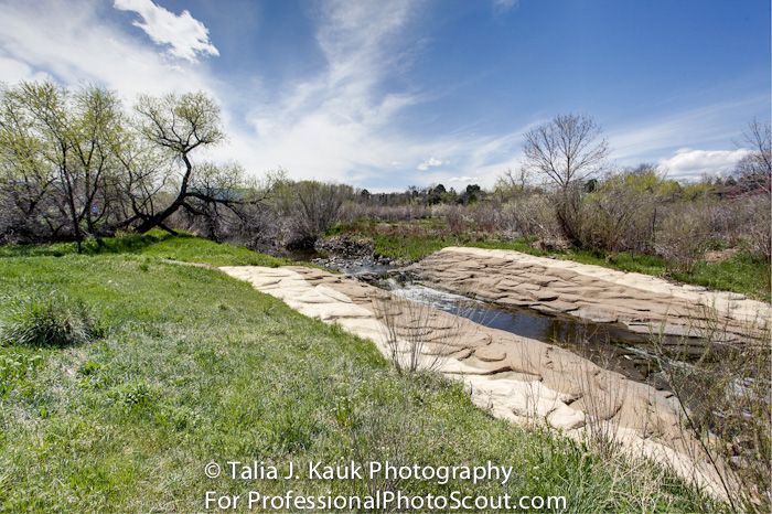 Hutchinson_Park_April_2014_1