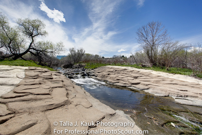 Hutchinson_Park_April_2014_2