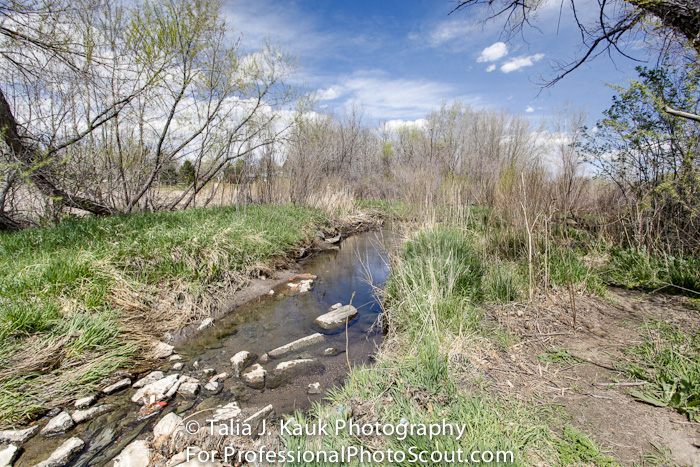 Hutchinson_Park_April_2014_23