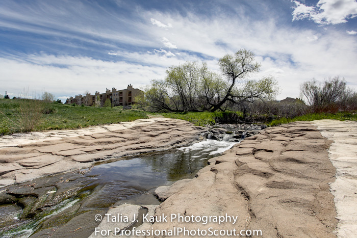 Hutchinson_Park_April_2014_3