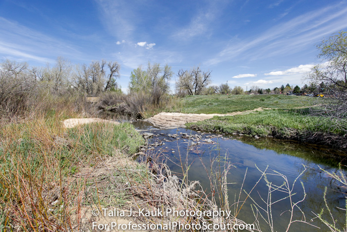 Hutchinson_Park_April_2014_5