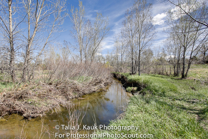 James_A_Bible_Park_April_2014_29