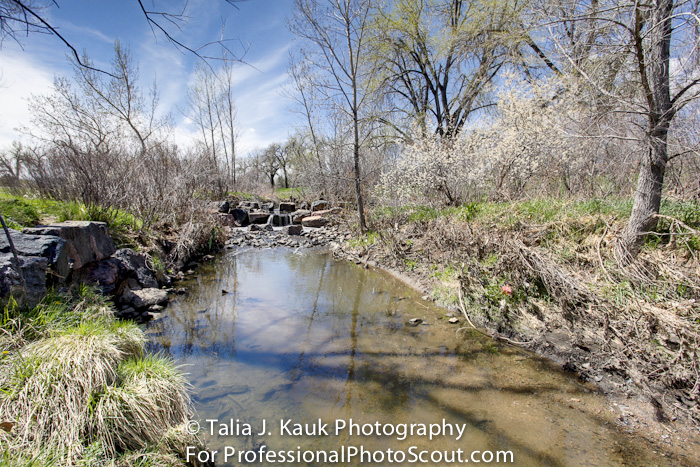 James_A_Bible_Park_April_2014_33