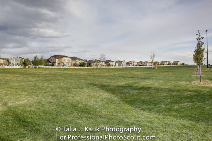 Homestead_Park_Aurora_CO_April_2014_12