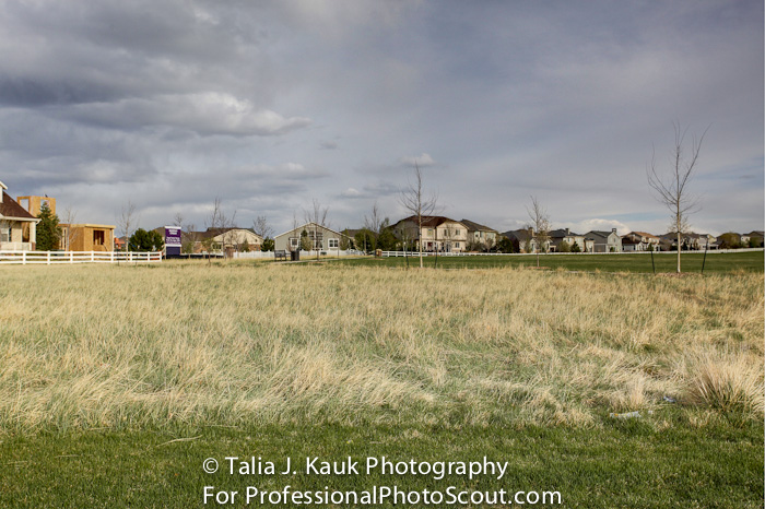 Homestead_Park_Aurora_CO_April_2014_9