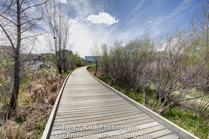 Hutchinson_Park_April_2014_11