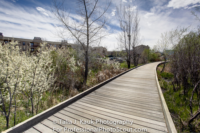 Hutchinson_Park_April_2014_12