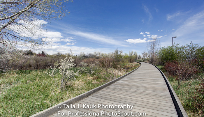 Hutchinson_Park_April_2014_13