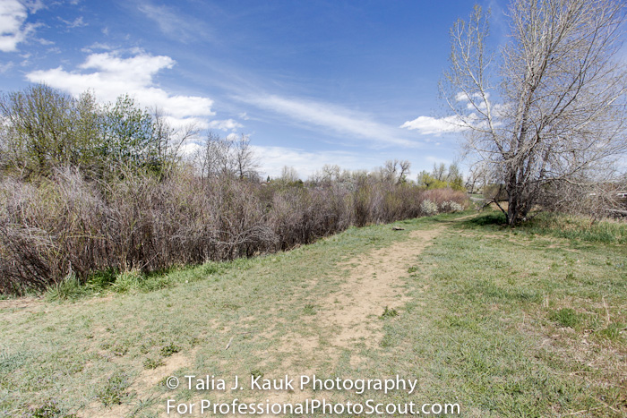 Hutchinson_Park_April_2014_14