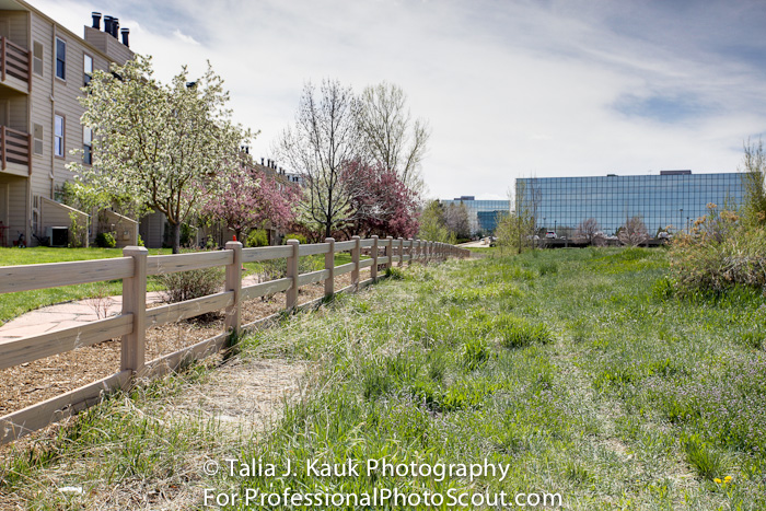 Hutchinson_Park_April_2014_15