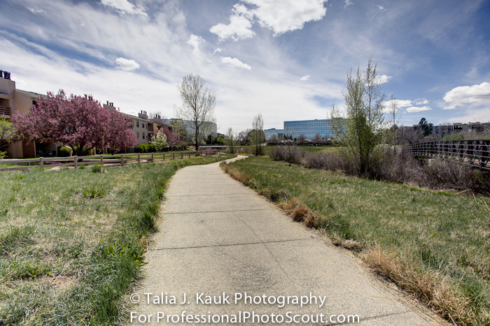 Hutchinson_Park_April_2014_18